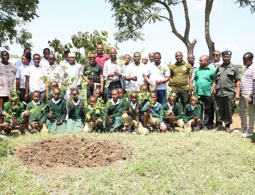 Tree Planting Campaign For 2022, Arusha